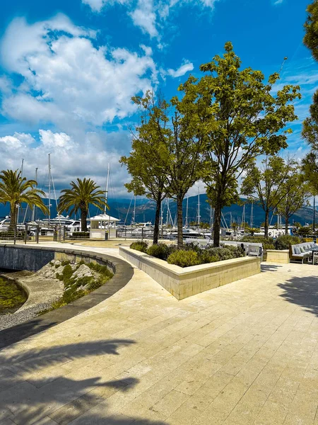 Gyönyörű Utca Pálmafákkal Jachtokkal Montenegróban Európában — Stock Fotó