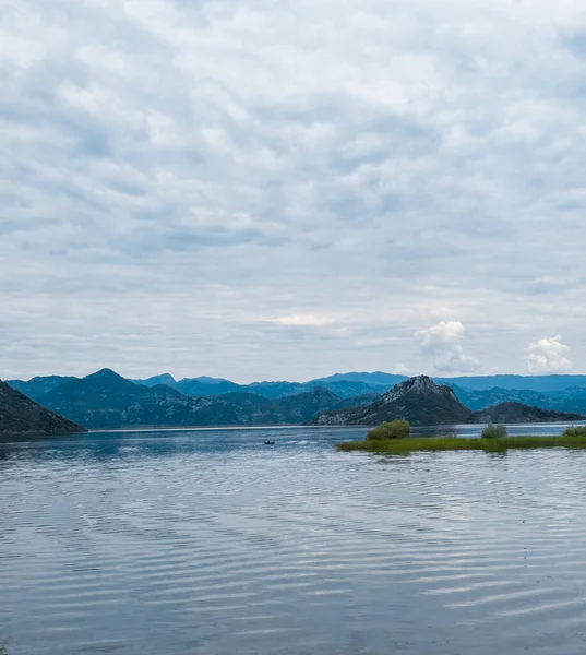 Över Blå Sjön Med Reflektion Barrträd Och Berg Vid Montenegro Stockfoto