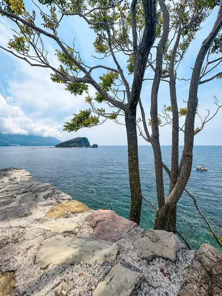 Bellissimi Paesaggi Del Montenegro Europa — Foto Stock