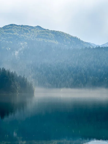 Över Blå Sjön Med Reflektion Barrträd Och Berg Vid Montenegro Stockbild