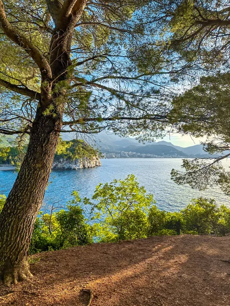 Beautiful Landscapes Montenegro Europe — Stock Photo, Image