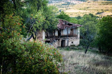 Makedonya 'nın Govrlevo kentindeki doğaya bırakılmış yeşillikle kaplanmış harap olmuş eski evler. Üsküp 'ün başkenti.