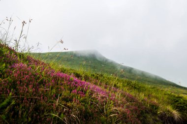 Renkli dağlar, çayır ve bulutlu vadi manzarası. Kayak merkezi. Sharr Dağları, Popova Shapka.