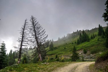 Renkli dağlar, çayır ve bulutlu vadi manzarası. Kayak merkezi. Sharr Dağları, Popova Shapka.