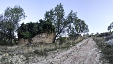 Makedonya 'nın Govrlevo kentindeki doğaya bırakılmış yeşillikle kaplanmış harap olmuş eski evler. Üsküp 'ün başkenti.