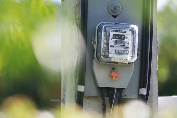 stock image Electric Meter for house close up with green tree background 