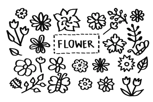 Kolekce Krásných Roztomilých Květin Kreslené Ručně — Stock fotografie