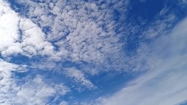 蓝天背景上美丽的云彩 时光飞逝的镜头 — 图库视频影像