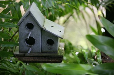 Bahçedeki yeşil ağaçtaki kuş evi