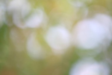 Doğa arka planının dağılması, bulanık doğa arkaplanı.