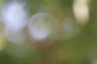 Güzel bokeh desenli arka plan duvar kağıdı