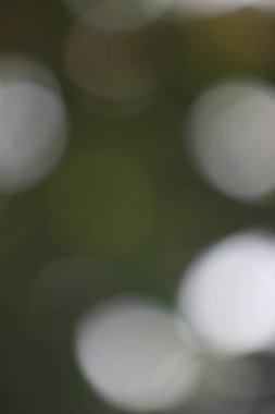 Güzel bokeh desenli arka plan duvar kağıdı