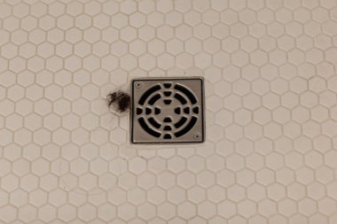 Yıkandıktan sonra banyoda saç dökülmesi. Saçlar her gün ciddi bir soruna düşüyor. Beyaz arka planda saç dökülmesi için çözümler üretiyor. Yüksek kalite fotoğraf