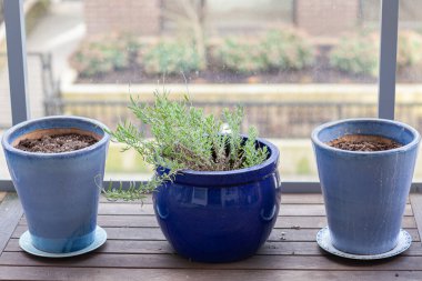 Baharın mavi ve açık mavi tencereleri verandada duruyor. Yüksek kalite fotoğraf