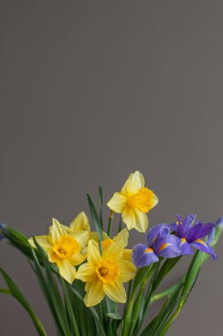 Bir buket sarı lale ve mor süsen çiçeği. Seçici odak. 
