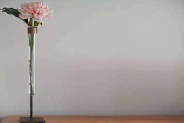 Masa arkasında yeşil yaprakları olan taze pembe şakayıklar. Pastel renk. Kapatın. İlham verici metinler için boş bir yer, güzel alıntılar, deyişler. Afiş geniş. Üst görünüm