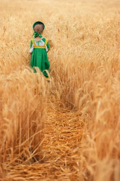 夏日里 俄罗斯民间沙拉越的一个小女孩和一个Kokoshnik站在一个金色的麦田里 — 图库照片