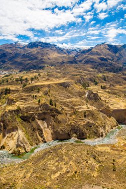 colca Kanyonu, peru, Güney Amerika. İnka tarım teraslarının cliff ve havuz ile inşa etmek. dünyanın en derin kanyonlar biri