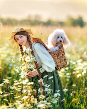 Kaniş köpeği olan bir kız çocuğu papatya tarlasında yürüyor. Yazın evcil hayvanla mutlu çocuk