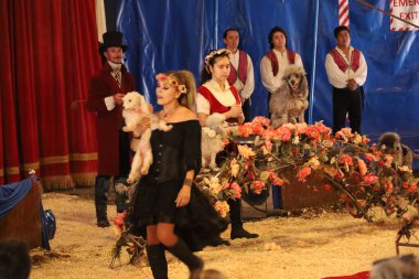 8-10-2022: Redwood City, California: Redwood şehrinde Zoppe sirki, köpek gösterileri