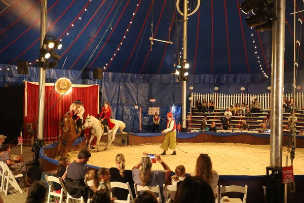 2022 レッドウッド市 カリフォルニア州 レッドウッド市のZoppeサーカス 馬のショー — ストック写真