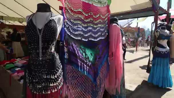 September 2022 Hollister Kalifornien Människor Medeltida Kostym Renässans Faire — Stockvideo