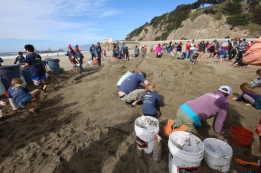 10-15-2022: San Francisco, California: San Francisco 'da SandKastle turnuvası. Takımlar halinde kum heykeli yapan insanlar