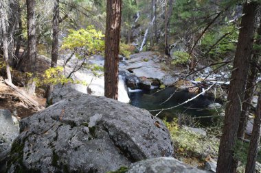 Fotoğraf: Yosemite Merced River in California