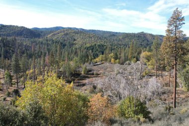 Yosemite Merced nehrinin Kaliforniya 'daki havadan çekilmiş fotoğrafı.
