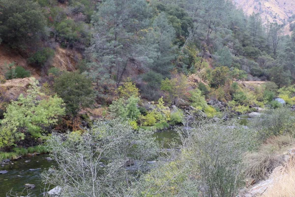 加利福尼亚约塞米蒂 默塞德河的照片 — 图库照片
