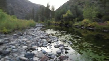 Yosemite Ulusal Parkı 'nın dışındaki Merced Nehri üzerinde uçuyor.