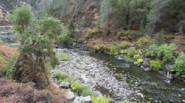 Yosemite Ulusal Parkı 'nın dışındaki Merced Nehri üzerinde uçuyor.