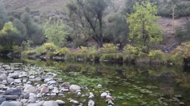 Yosemite Ulusal Parkı 'nın dışındaki Merced Nehri üzerinde uçuyor.