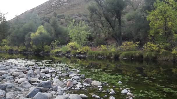 Latanie Nad Rzeką Merced Niedaleko Parku Narodowego Yosemite Kalifornia — Wideo stockowe