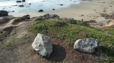 San Simeon California 'da plajların, bataklıkların ve okyanusların üzerinde uçuyor.