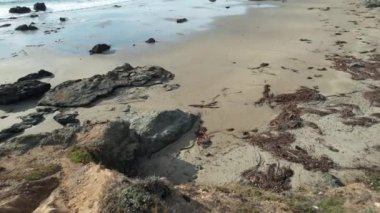 San Simeon California 'da plajların, bataklıkların ve okyanusların üzerinde uçuyor.