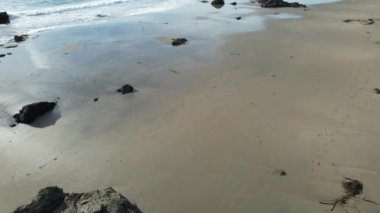 San Simeon California 'da plajların, bataklıkların ve okyanusların üzerinde uçuyor.
