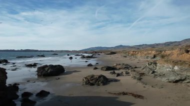 San Simeon California 'da plajların, bataklıkların ve okyanusların üzerinde uçuyor.