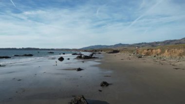 San Simeon California 'da plajların, bataklıkların ve okyanusların üzerinde uçuyor.