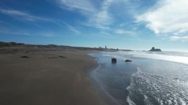 San Simeon California 'da plajların, bataklıkların ve okyanusların üzerinde uçuyor.