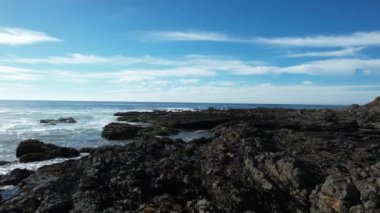 San Simeon California 'da plajların, bataklıkların ve okyanusların üzerinde uçuyor.