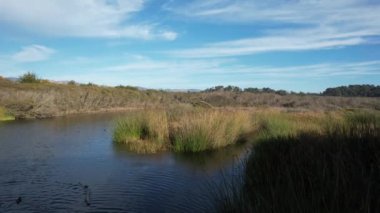 San Simeon California 'da plajların, bataklıkların ve okyanusların üzerinde uçuyor.