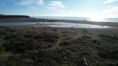 San Simeon California 'da plajların, bataklıkların ve okyanusların üzerinde uçuyor.