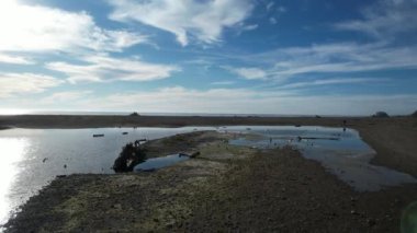San Simeon California 'da plajların, bataklıkların ve okyanusların üzerinde uçuyor.