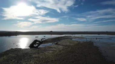 San Simeon California 'da plajların, bataklıkların ve okyanusların üzerinde uçuyor.