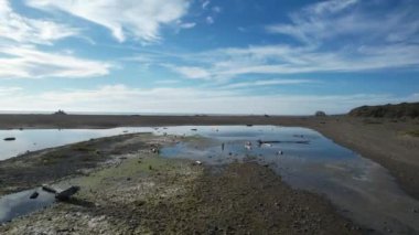 San Simeon California 'da plajların, bataklıkların ve okyanusların üzerinde uçuyor.