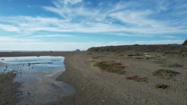 San Simeon California 'da plajların, bataklıkların ve okyanusların üzerinde uçuyor.