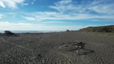 San Simeon California 'da plajların, bataklıkların ve okyanusların üzerinde uçuyor.