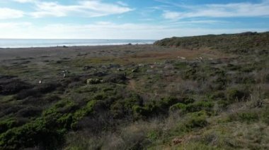 San Simeon California 'da plajların, bataklıkların ve okyanusların üzerinde uçuyor.