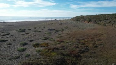 San Simeon California 'da plajların, bataklıkların ve okyanusların üzerinde uçuyor.